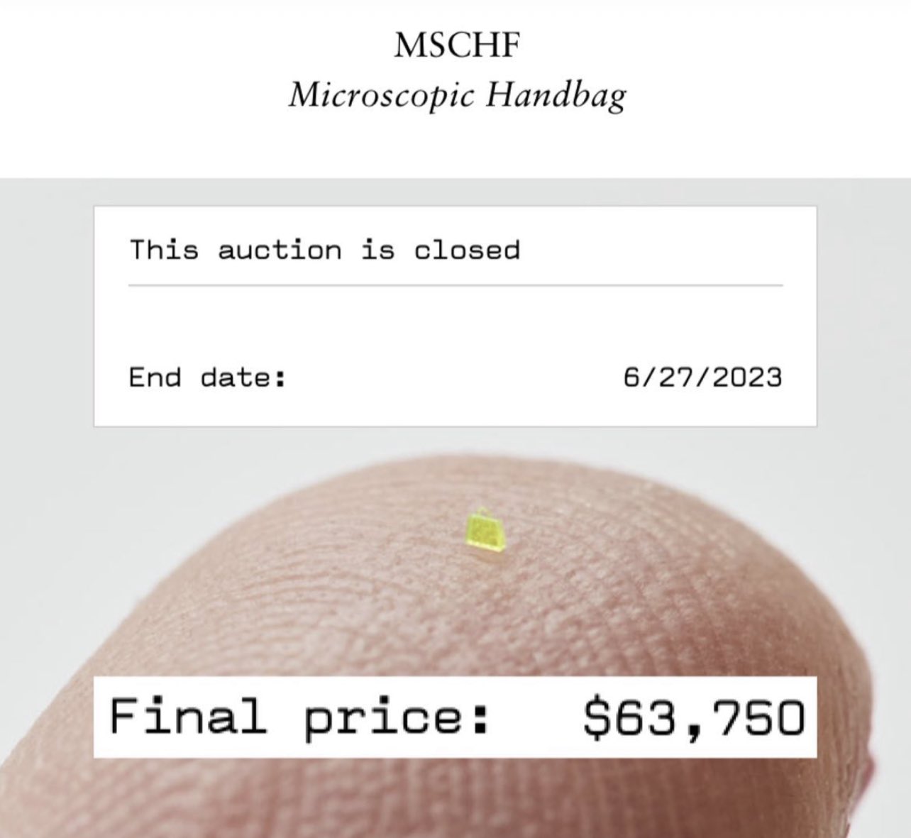 MSCHF Auctions Its Microscopic Handbag