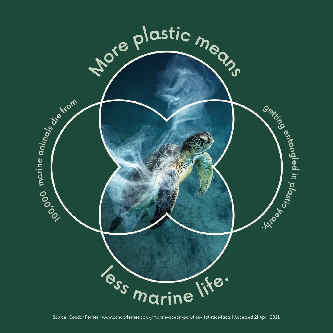 Protecting our oceans, one zero waste shopping trip at a time! 🌊🌿 

We’re reducing plastic waste and saving our precious marine life. Together, we can make a difference for the creatures beneath the waves! 🤍

#savemarinelife #sustainableliving #oceanconservation