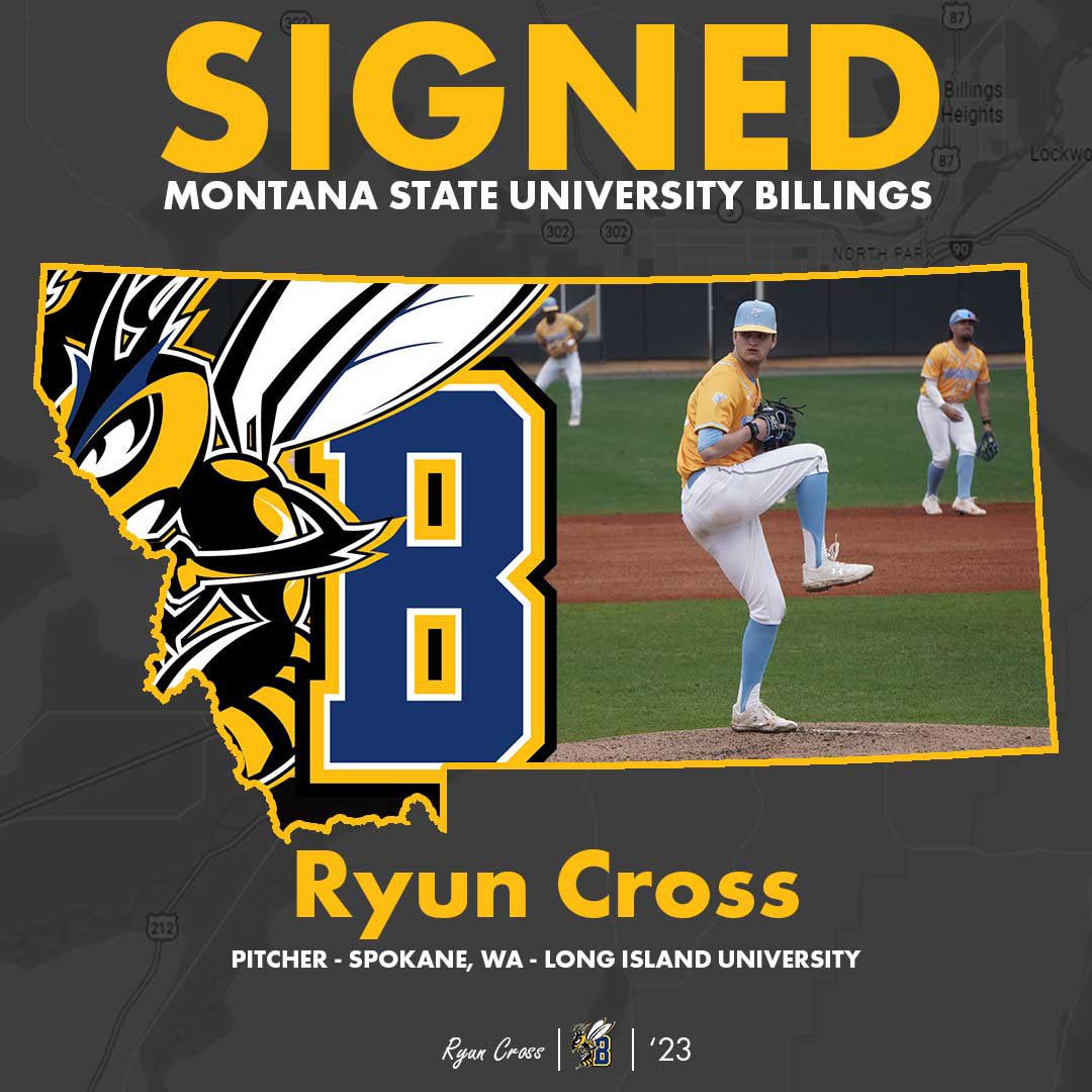 MSUB Baseball tweet media