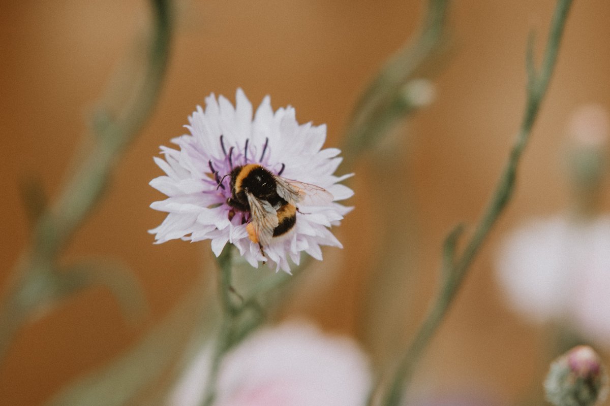 Kate Cullen Coaching & Photography tweet media