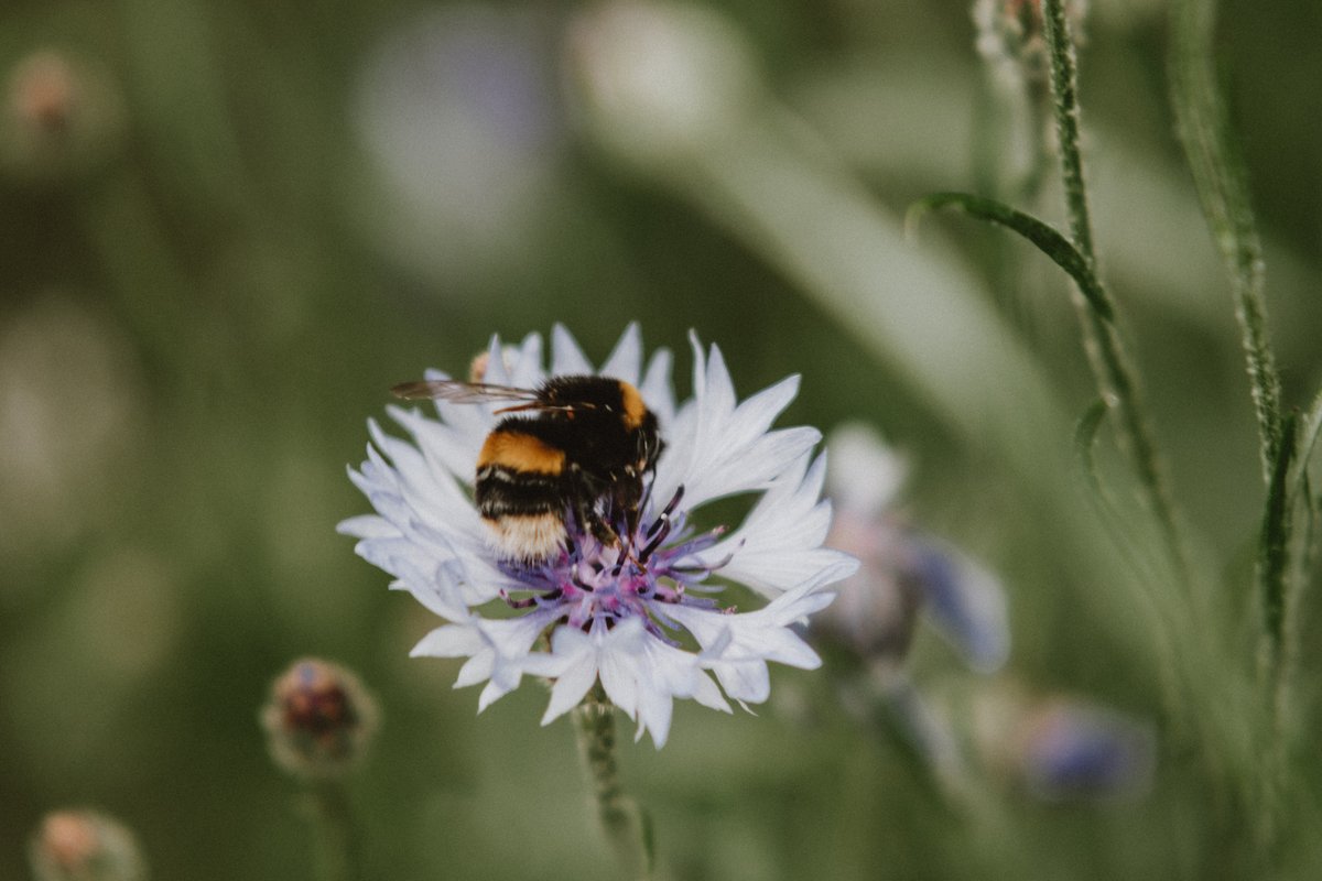 Kate Cullen Coaching & Photography tweet media