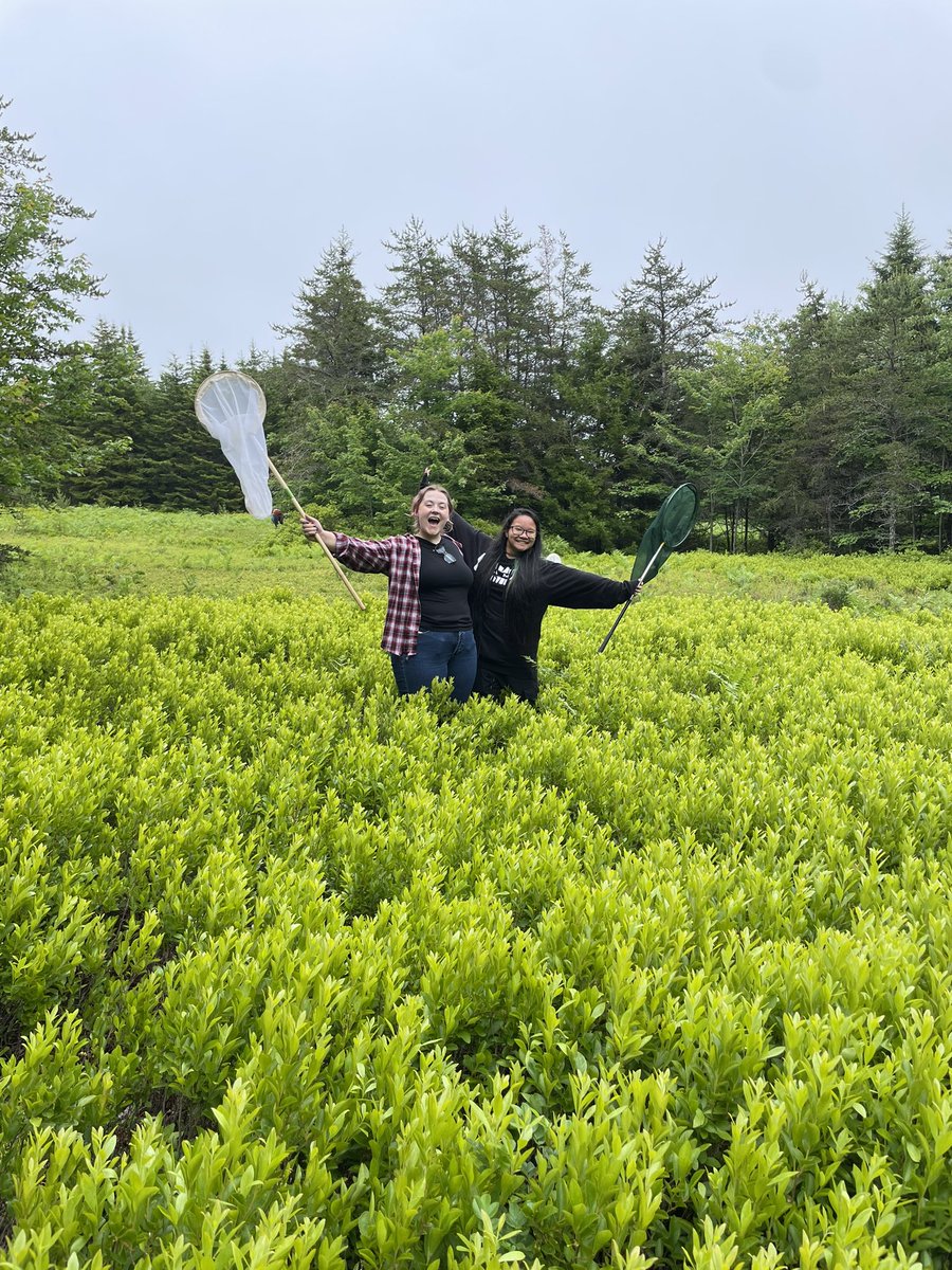 Dr. Rachael E. Bonoan tweet media