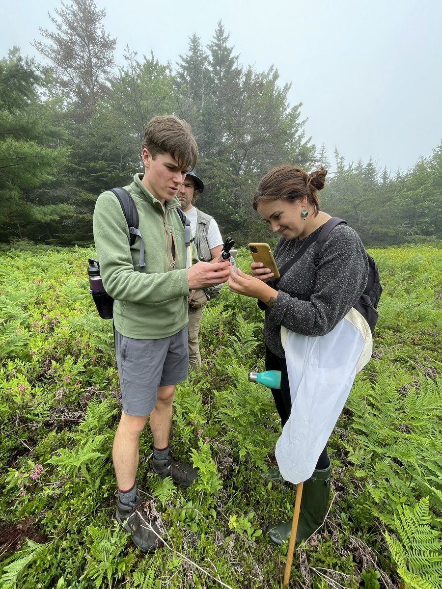 Dr. Rachael E. Bonoan tweet media