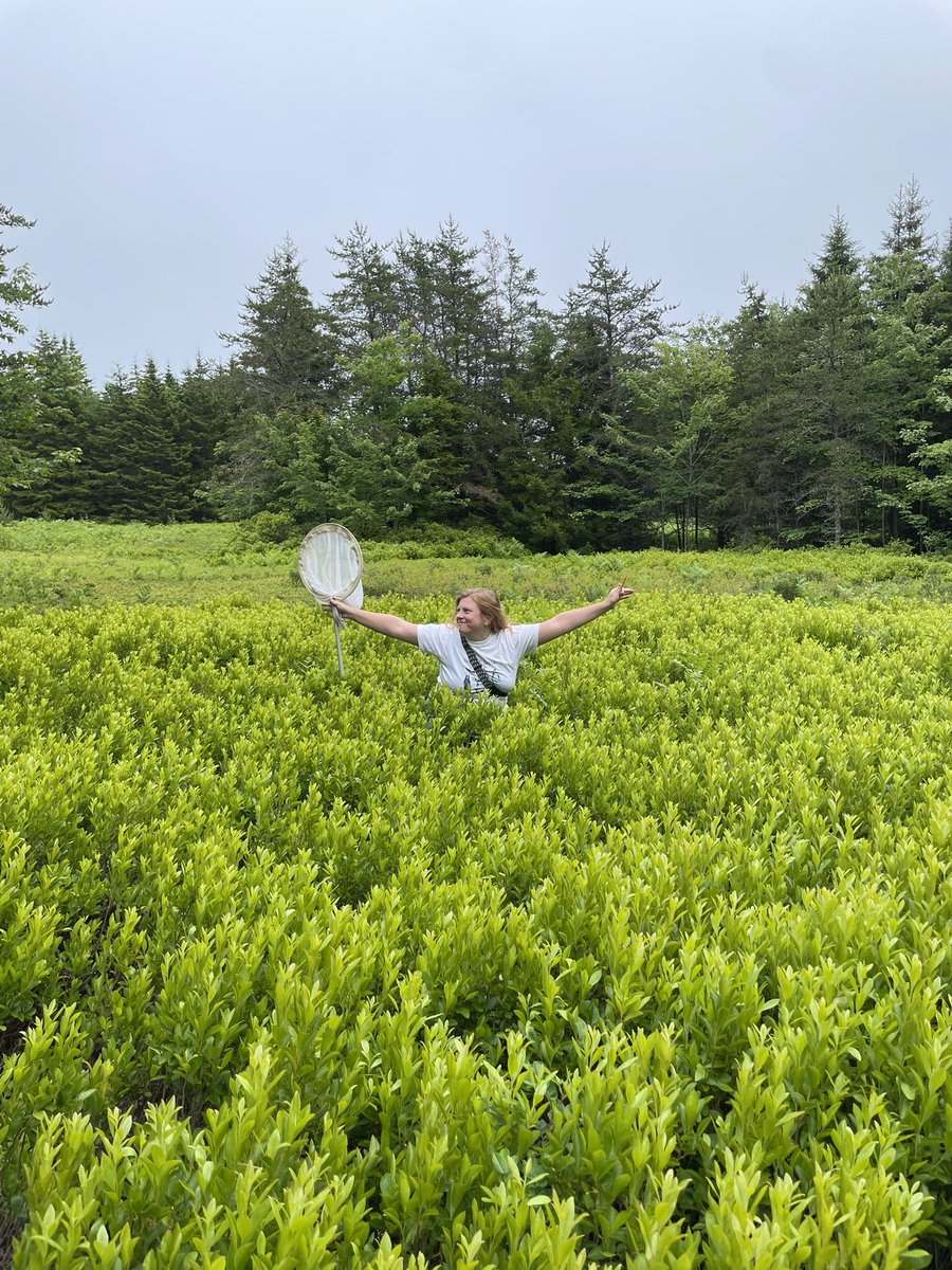 Dr. Rachael E. Bonoan tweet media