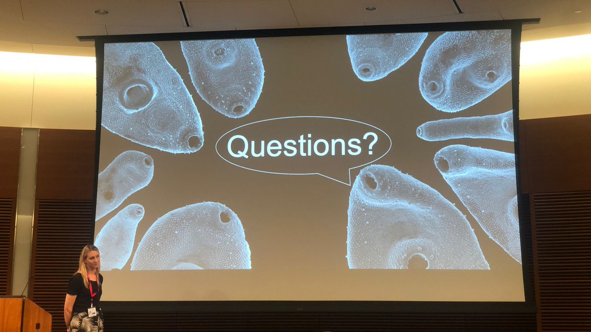 nicholacalvani's tweet image. So proud of @AisteVit and @CDeMVerissimo for representing #TeamMPL so well today at #MolHelm23!

And as much as we LOVE Frederick, we thought it was past time to introduce you to some of our other children. Meet Francesca, Felicia, Felix, Fergie, Frodo, Fernando, Felipe, Fintan..