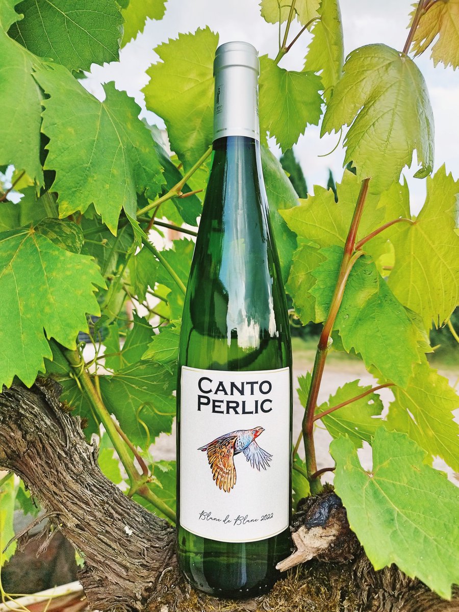 We've added a beautiful Sauvignon Blanc from the 2022 harvest. This wine is refreshing and crisp, with delightful tropical aromas such as passion fruit, guava, and lime. It is perfect for enjoying on a summer terrace or paired with a light meal.
#sauvignonblanc #vin #winemakers
