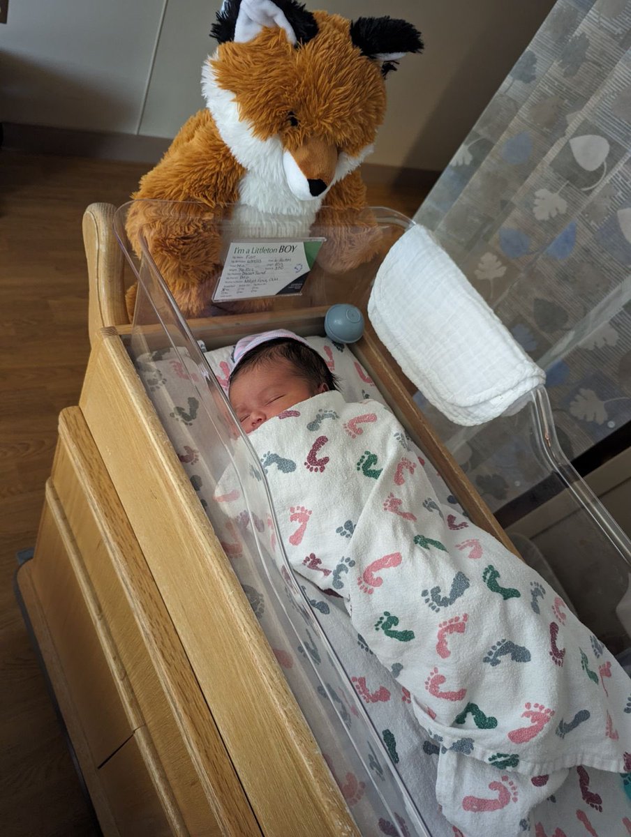 Jared Geisler tweet media