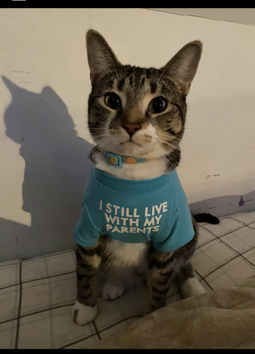 stickydacat's tweet photo. Loot at this neet loser https://t.co/UOasm5YDpo