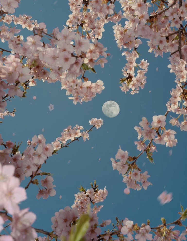 moon lover