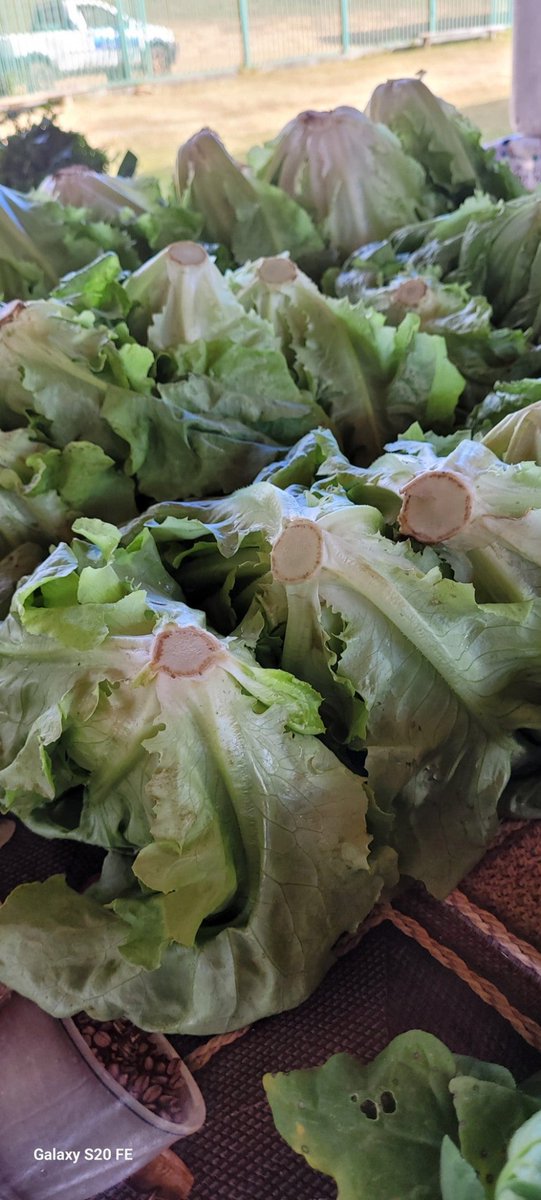 I'm at Feira do Produtor Rural in Alto Paraiso de Goias, GO swarmapp.com/c/73G5XHBf6K4