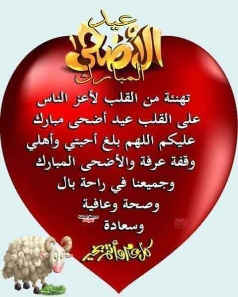 Tamermoheb8's tweet photo. https://t.co/RknMOIBmor