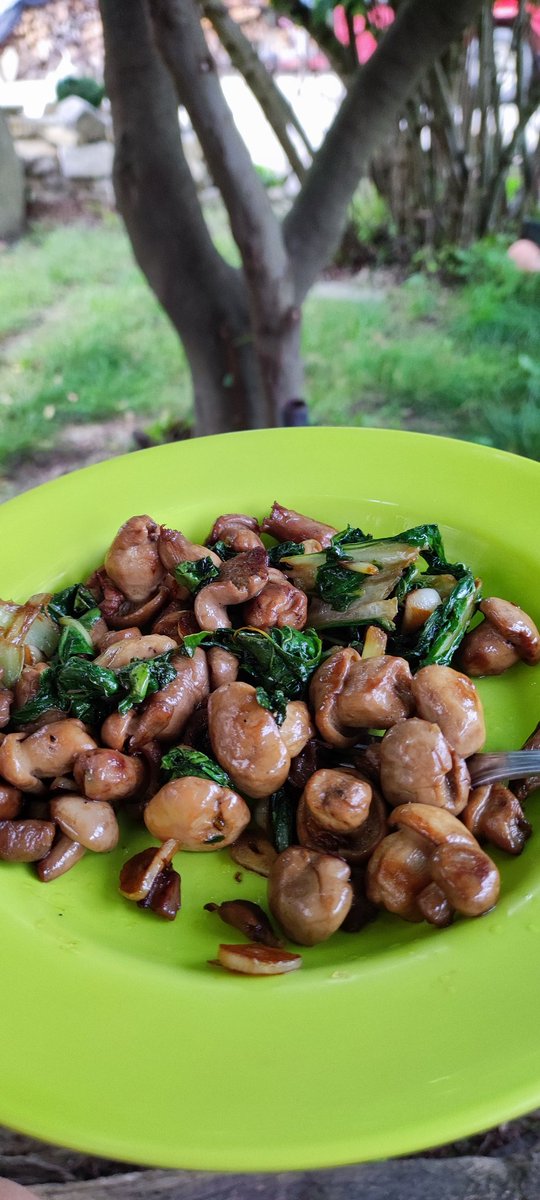 𝕭𝖆𝖗𝖇𝖆𝖗𝖆 tweet media