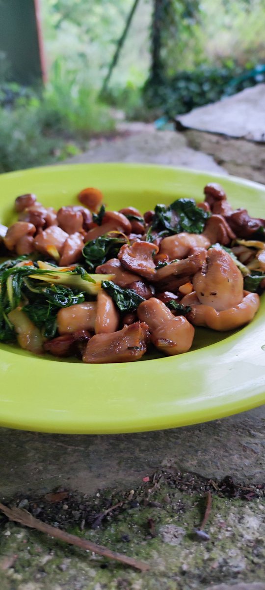 𝕭𝖆𝖗𝖇𝖆𝖗𝖆 tweet media