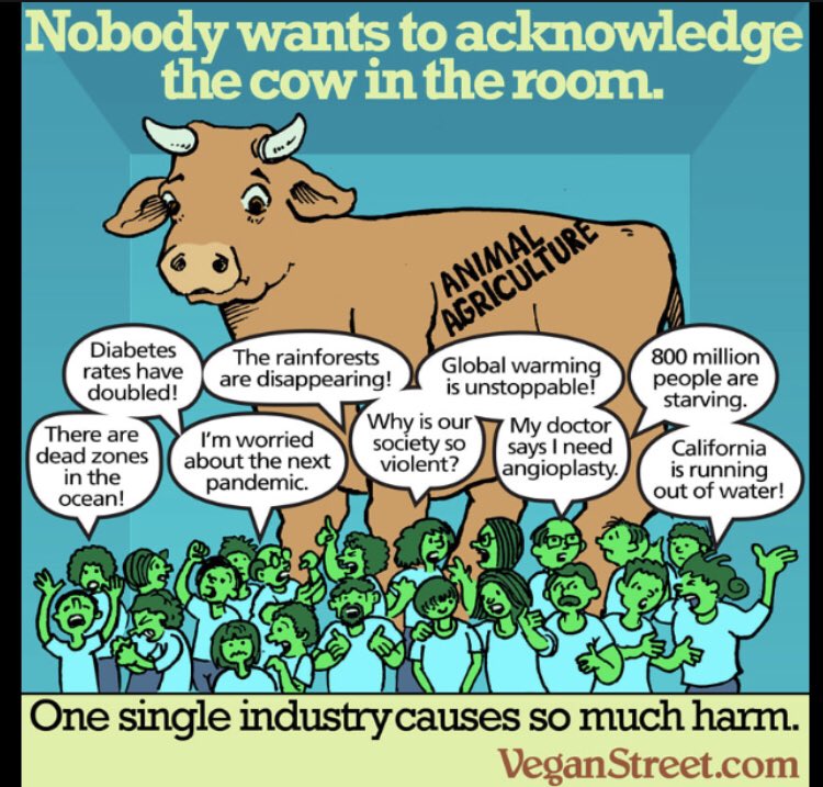 Meme showing a group of people exclaiming concerns varying from climate change to pandemics with headline: nobody wants to acknowledge the cow in the room