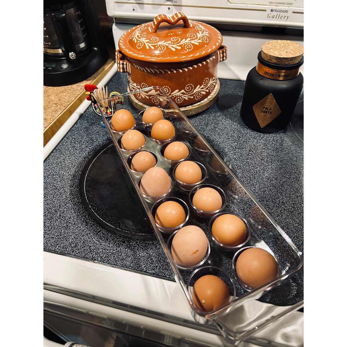 kdasilva_BASD's tweet image. It’s the simple things in life! 🥚🐓 Winston agrees 🐈‍⬛♥️#FazendaDaKrystal 👩🏻‍🌾