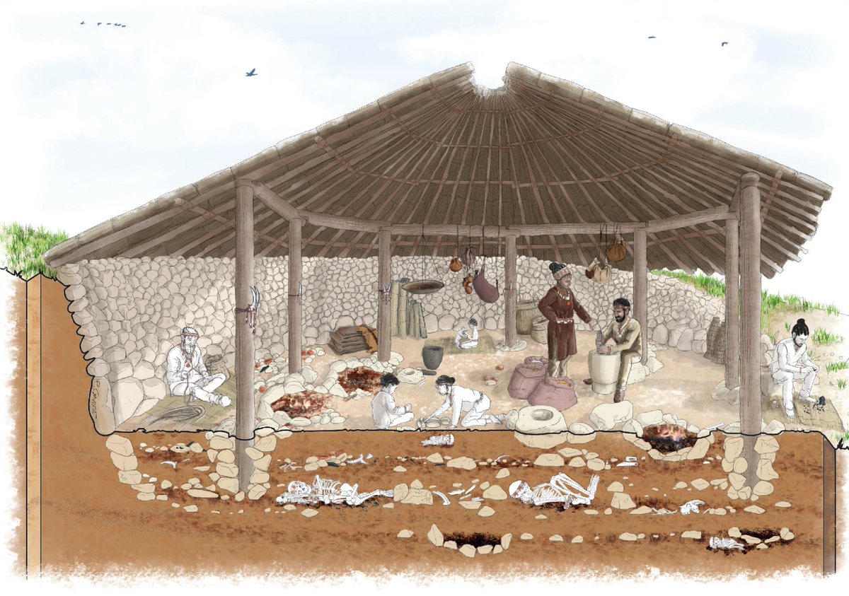 Eynan Mallaha Excavation (@eynanmallaha) on Twitter photo 👏A wonderful reconstitution of a 15,000 years old Natufian house by @DArcheOGaussein
Finely excavated in the 70's by F. Valla & M. Lechevallier, we are working with rich archives at <a href="/umr8068/">UMR 8068 TEMPS</a> to complete this study thanks to <a href="/reseau_pamir/">DIM Patrimoines matériels</a>
#Archaeology #Prehistory #Natufian 👏A wonderful reconstitution of a 15,000 years old Natufian house by @DArcheOGaussein
Finely excavated in the 70's by F. Valla & M. Lechevallier, we are working with rich archives at <a href="/umr8068/">UMR 8068 TEMPS</a> to complete this study thanks to <a href="/reseau_pamir/">DIM Patrimoines matériels</a>
#Archaeology #Prehistory #Natufian