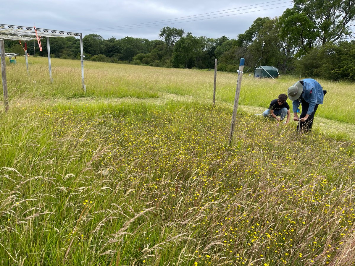 Rob Salguero-Gómez (@rob_salgo) on Twitter photo And that's a wrap: Y3 of <a href="/DragnetGlobal/">DragNet Global</a> @ <a href="/WythamWoods/">Wytham Woods</a> done! V tangible treatment differences. Now time to get busy with more UAV and autonomous <a href="/oxfordrobots/">Oxford Robotics Institute</a> monitoring <a href="/Erola_Fenollosa/">Erola Fenollosa</a> Man Qi, Marcel Masso, Aryaman Gupta, Jessie McLean <a href="/hawesie/">Nick Hawes</a> <a href="/e_borer/">Elizabeth Borer</a> And that's a wrap: Y3 of <a href="/DragnetGlobal/">DragNet Global</a> @ <a href="/WythamWoods/">Wytham Woods</a> done! V tangible treatment differences. Now time to get busy with more UAV and autonomous <a href="/oxfordrobots/">Oxford Robotics Institute</a> monitoring <a href="/Erola_Fenollosa/">Erola Fenollosa</a> Man Qi, Marcel Masso, Aryaman Gupta, Jessie McLean <a href="/hawesie/">Nick Hawes</a> <a href="/e_borer/">Elizabeth Borer</a>