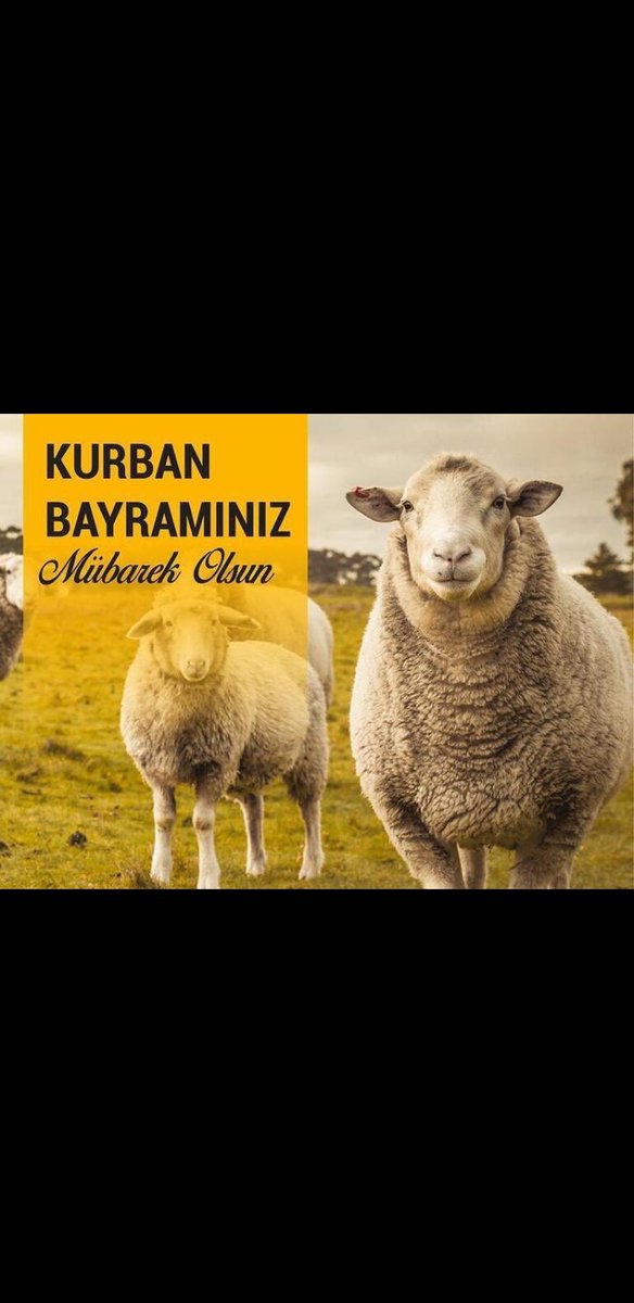 Kurban bayramınız mubarek olsun