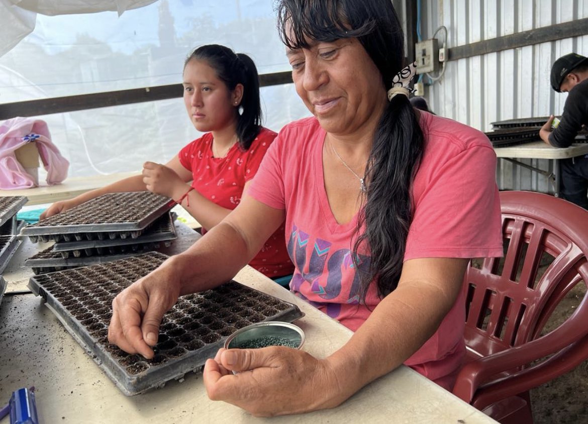 Celebramos el acuerdo entre @idb_lab y <a href="/acceso_org/">Acceso</a> para la implementación del proyecto "Invernaderos 2.0" con el cual promoveremos la adopción de tecnología e innovación para Pequeños Productores Agrícolas de #ElSalvador, con enfoque de género.