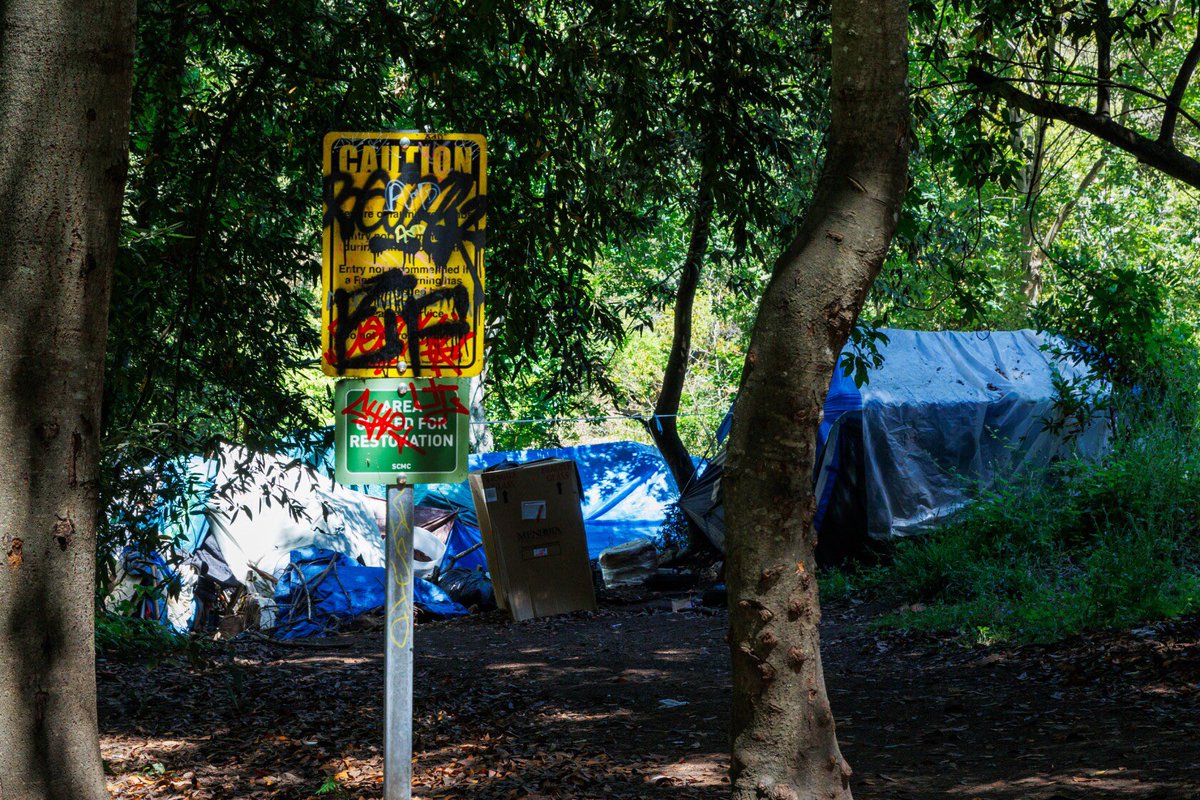 Have you wondered what happened to those who recently lost their homes when the city cleared out the Sycamore Grove encampment?

Check out the rest of the article for more information: lookout.co/santacruz/comm…