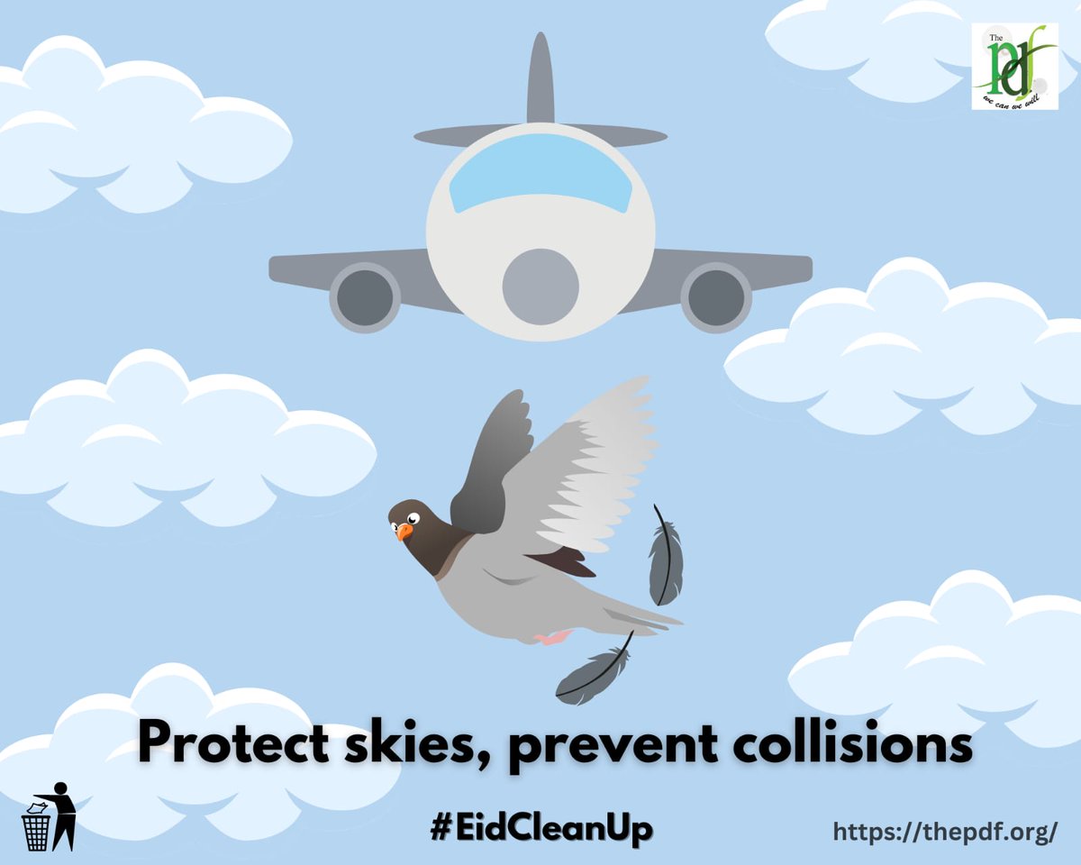 WarsiJaweria's tweet photo. Research has shown that feeders closer than three feet prevent birds from building up enough momentum to harm themselves if startled.
#EidCleanUp
@thepdf_official https://t.co/WV9XfMFmld