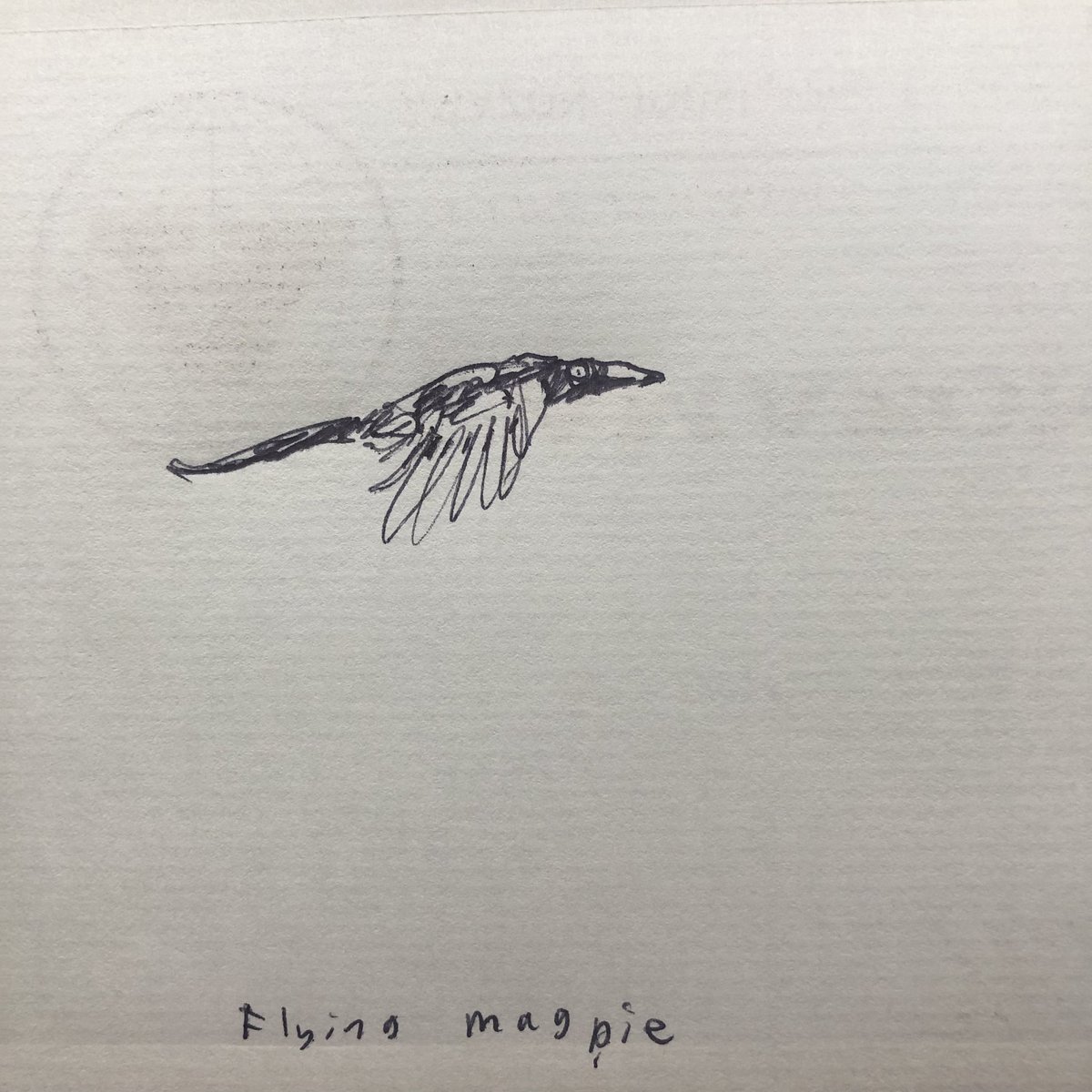 AkashBhatt72's tweet image. 26-06-23 Pt 2
#windowdrawings #secondpart #humanlife #injuries #helldog #everydaystuff #nothingtoseehere