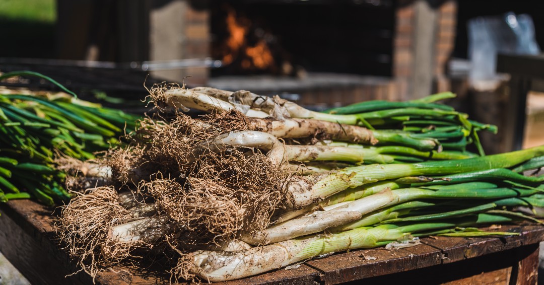 GrillPerks's tweet photo. It's National Onion Day (yes, it's a thing!). Are you for or against onions on your food? Let us know in the comments!

Us personally? We're all about grilling up some fresh onion for salads, burgers, and more!

#GrillPerks #Grilling #NationalDayOf #Onions https://t.co/gNG4b74dpY