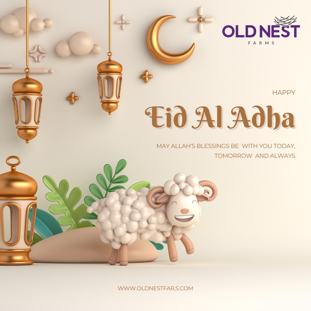 🌙🐑 Celebrate Eid Ul Adha with Old Nest Farms! 🐑🌙

Join us in embracing the spirit of sacrifice and gratitude as we observe this joyous occasion. 🙏✨

#EidUlAdha #Qurbani #Sacrifice #Gratitude #OldNestFarms #PremiumMeats #EthicalPractices #HomeDelivery #CelebrateTogether