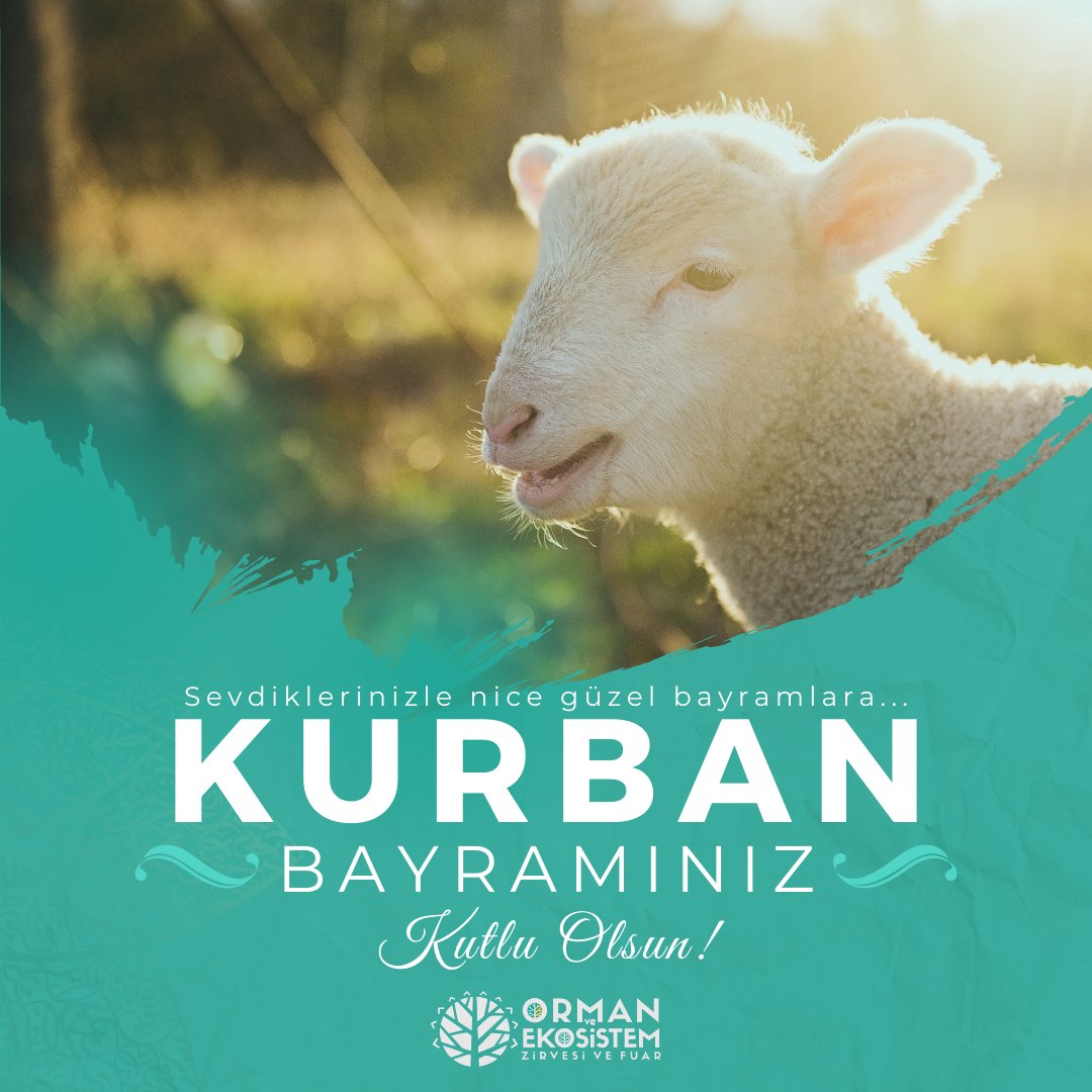 💙 Sevdiklerinizle nice güzel bayramlar görmeniz dileğiyle...
🐑 Kurban Bayramınız Mübarek Olsun!

#KurbanBayramınızKutluOlsun #kurbanbayramınızmübarekolsun #ormanekosistem