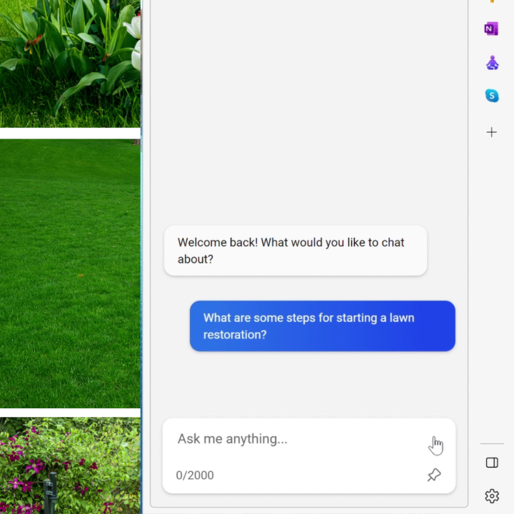 MICROSOFT EDGE HELP CHAT visual data 4