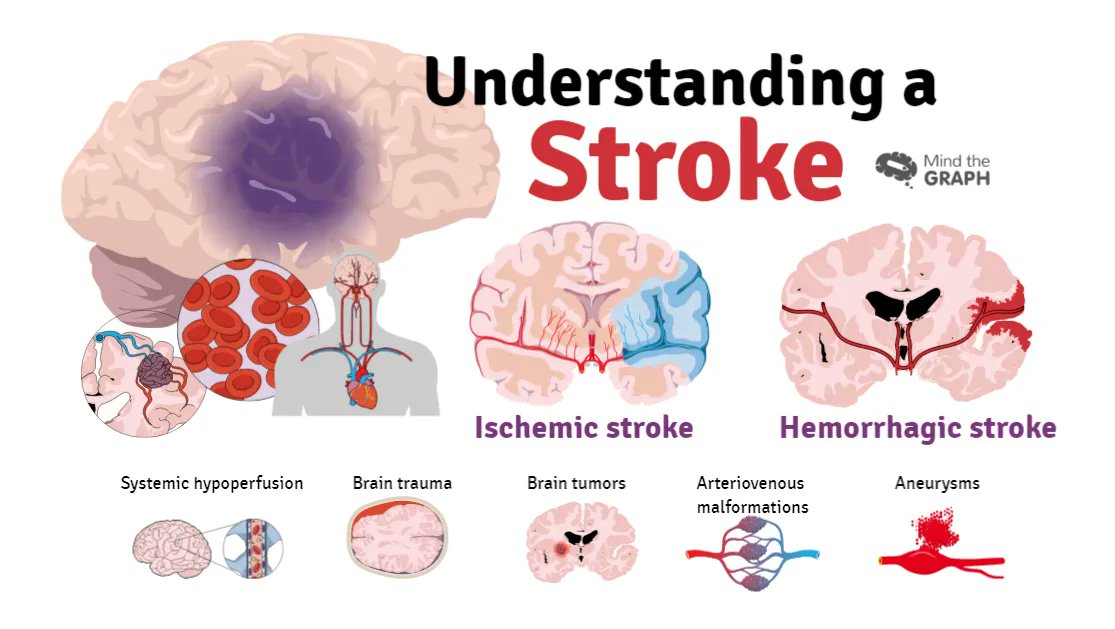 Recognizing the signs of a #stroke in #seniors. Here is what every family member or loved one should be looking for buff.ly/43BqInz #seniorcare #agingcare #dementia #elderlycare #seniorcaremesa #gilbert