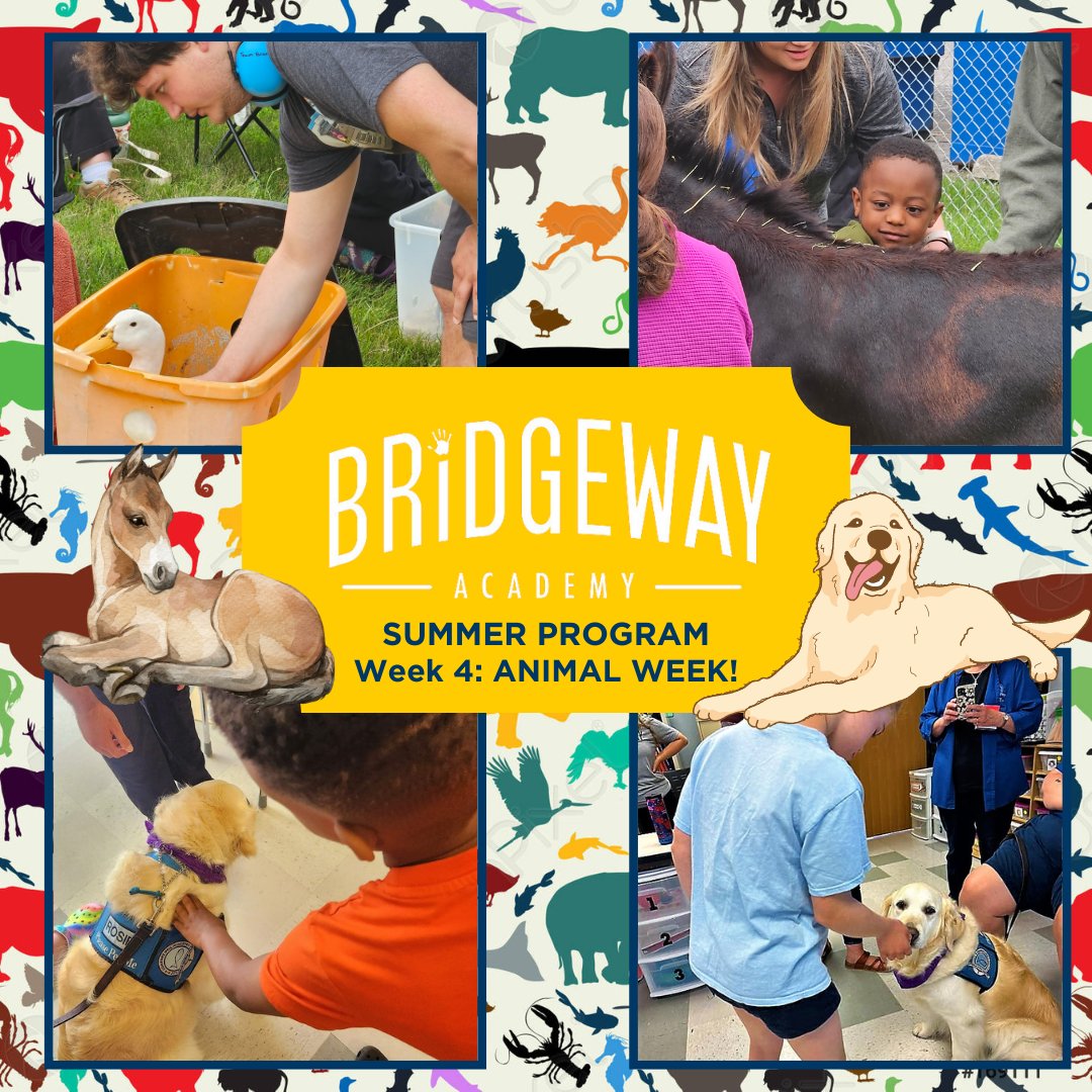 bridgewayohio's tweet image. 🐾It's Animal Week at Bridgeway🐾
Our friend Rosie the Therapy Dog popped into several classrooms on Monday for our students to relax and engage with her and on Tuesday Mystic Manes arrived with some of their 4H animals!
#BridgewayOhio #SummerProgram #Animals #Interaction #Engage