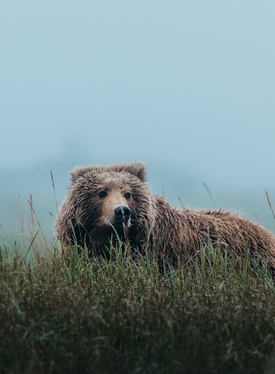 Kris Luckenbach tweet media