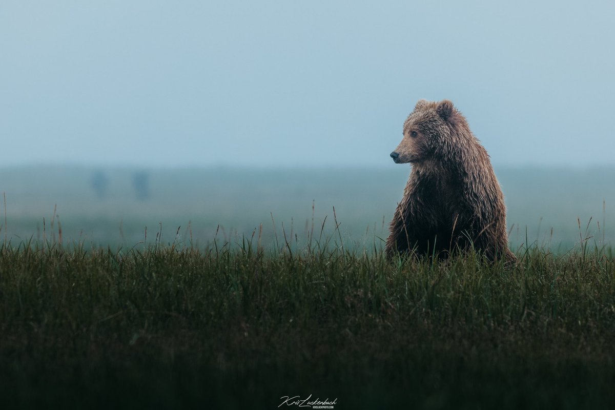 Kris Luckenbach tweet media