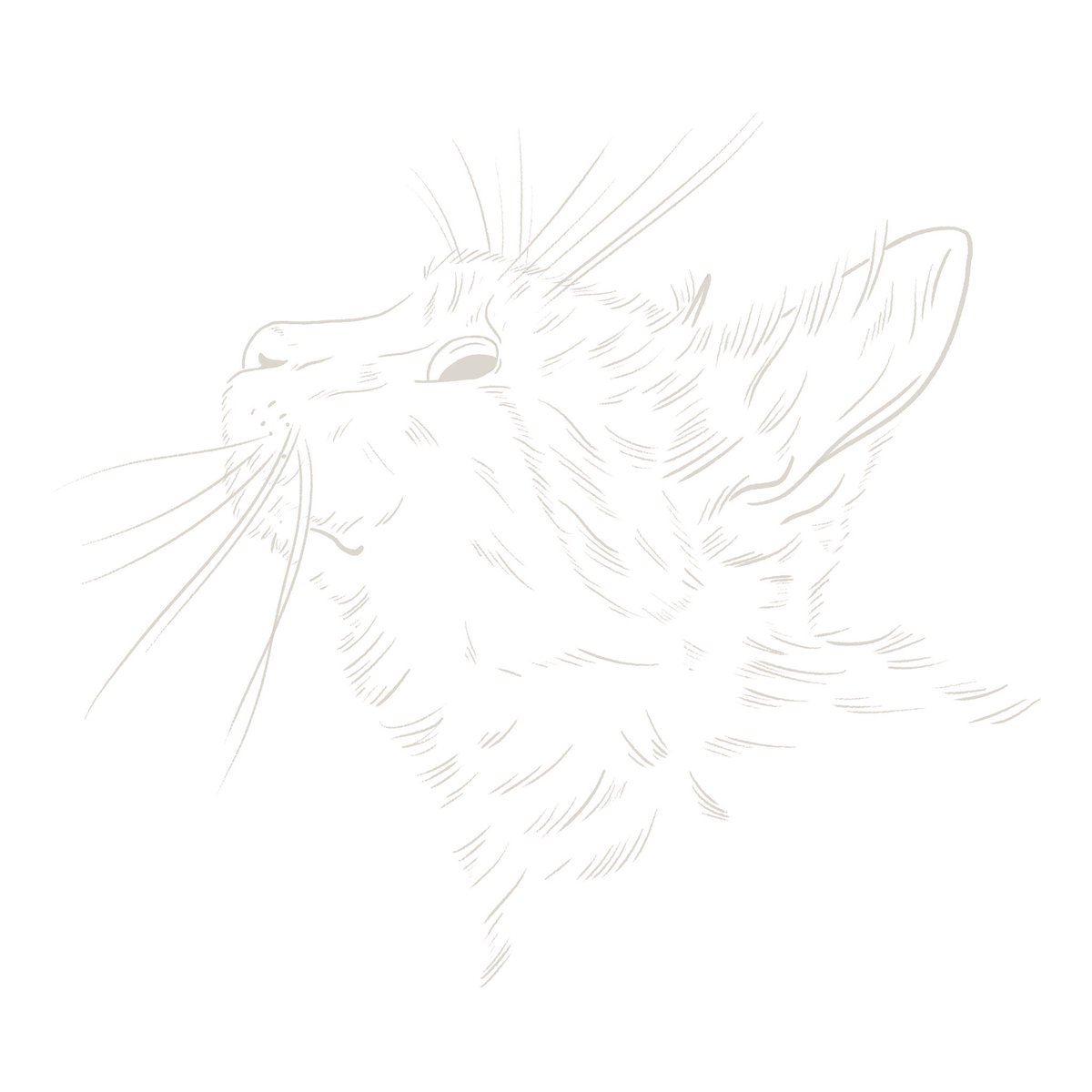 my commissions for pet portraits are open too, these are £25 each, dm me if you’re interested!