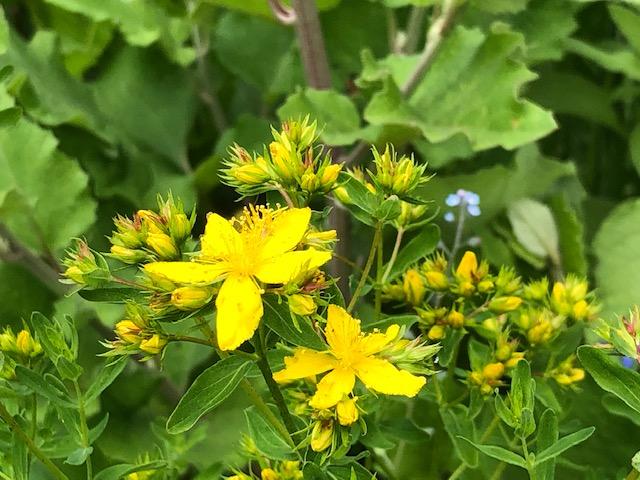 crowsdaughter's tweet image. conta.cc/3NOXkUW
conta.cc/3CRhCH8