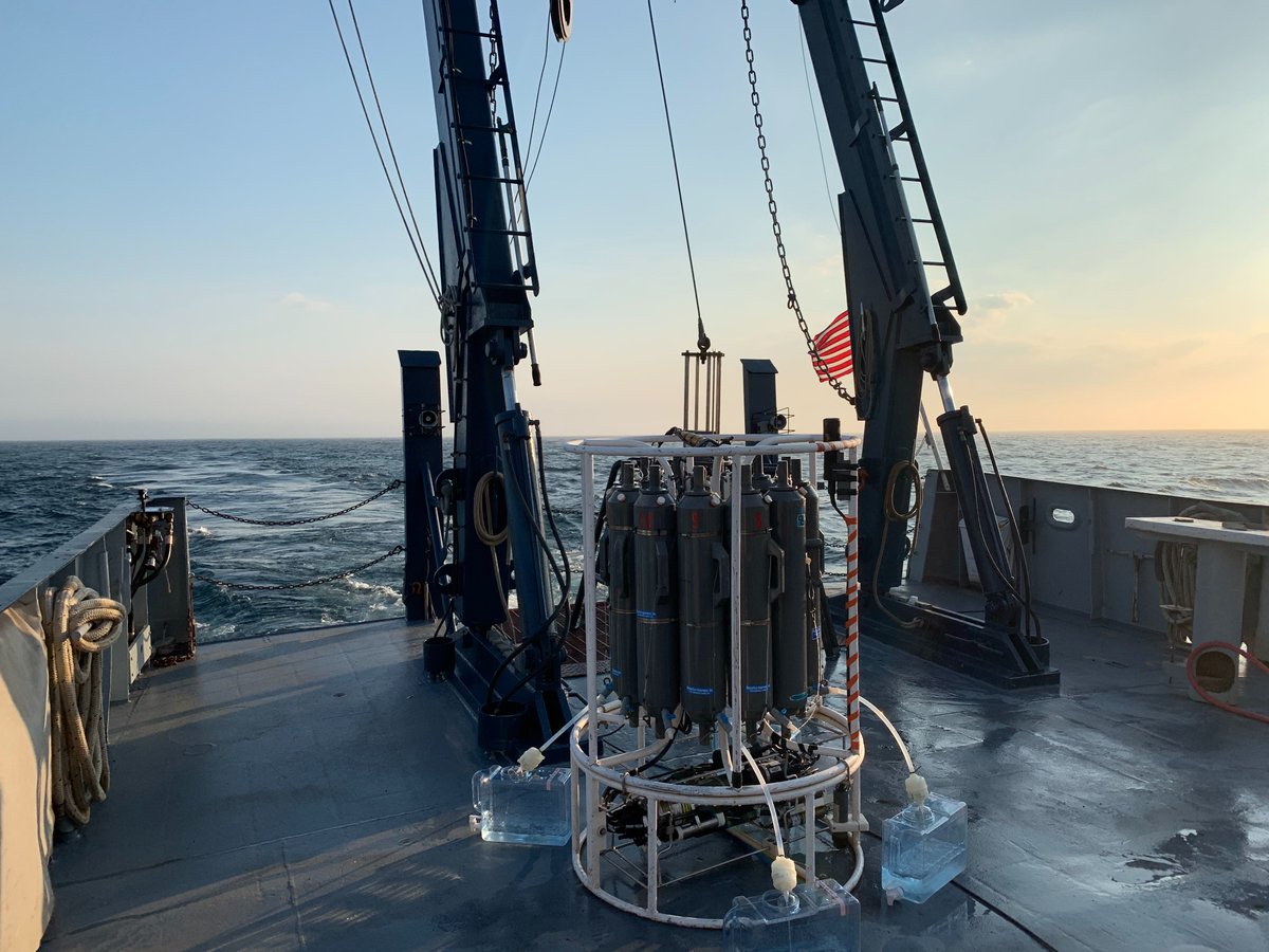 Dr Alexandra A Phillips tweet media