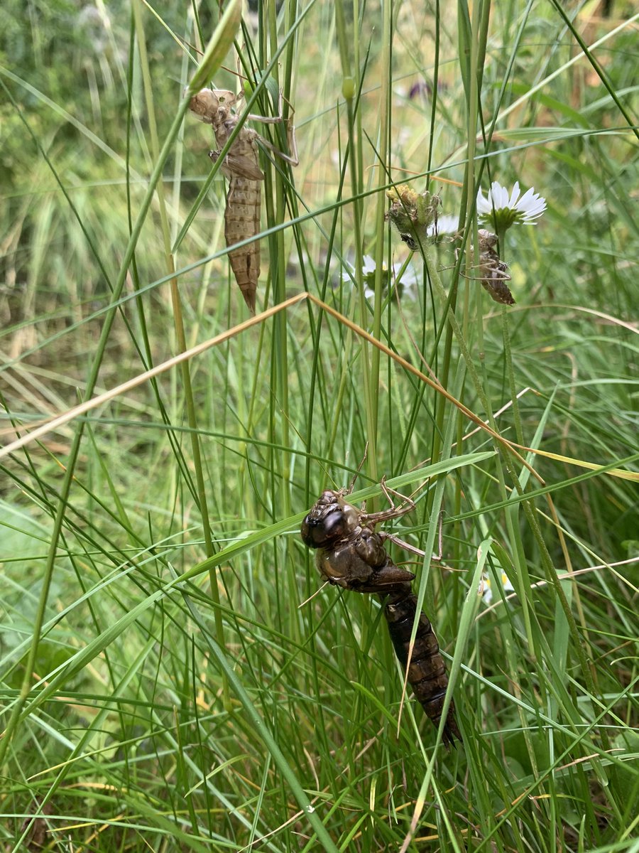 NatureBox tweet media