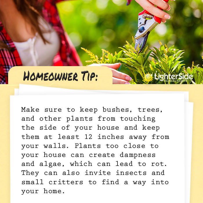 Homeowner Tip Tuesday!
#SWFloridaRealtor #MovingSWFlorida #HomeownerTips

ift.tt/IQdUKrV instagr.am/p/CuAUG0oriwg/