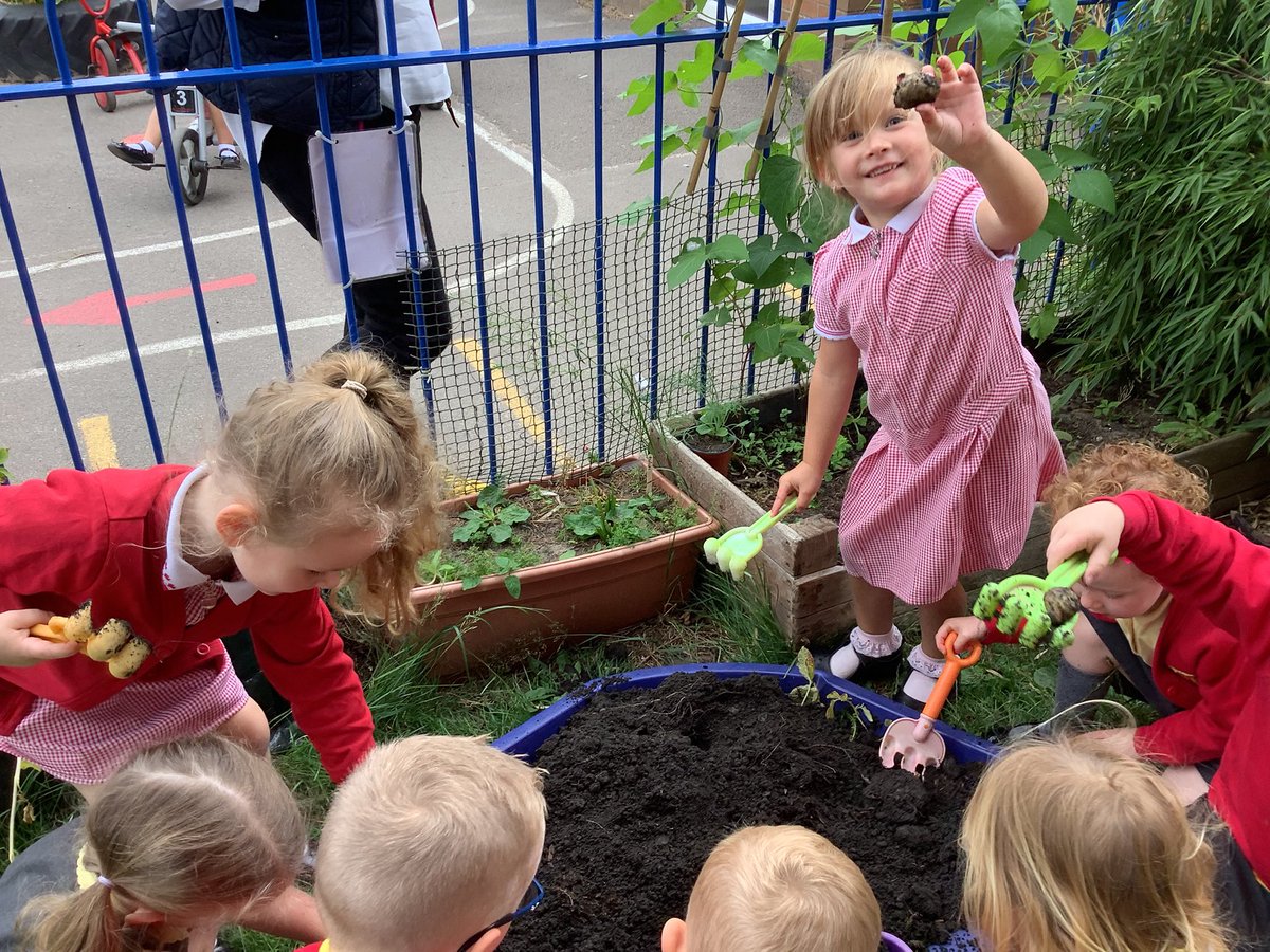 St David's RC Primary tweet media