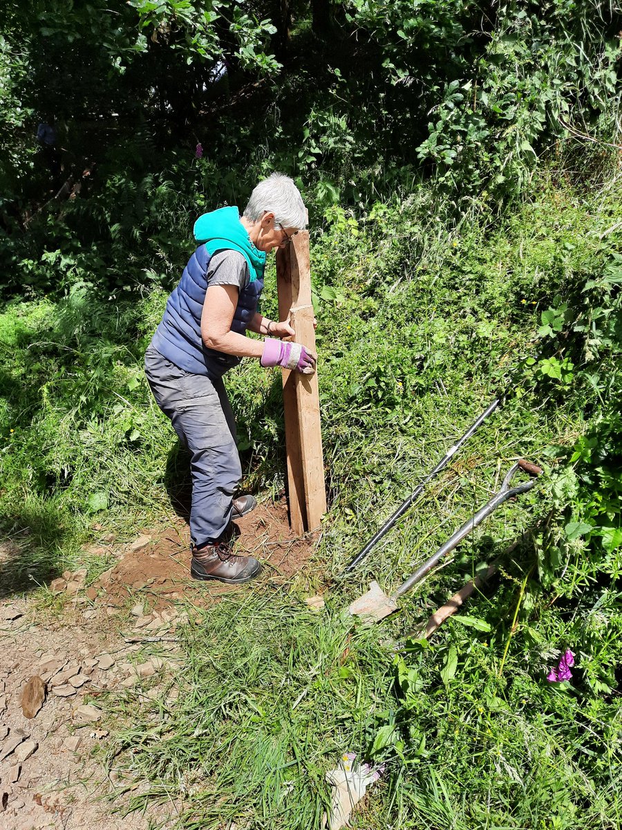 OffasDykePath's tweet image. Thanks to Powys Countryside Volunteers from #Knighton completing some great works on Offa in Granner Wood #Volunteers #walking @PowysCC @PowysCountry @RamblersCymru @RamblersGB @LDWA1 @visitknighton @CoedCadw