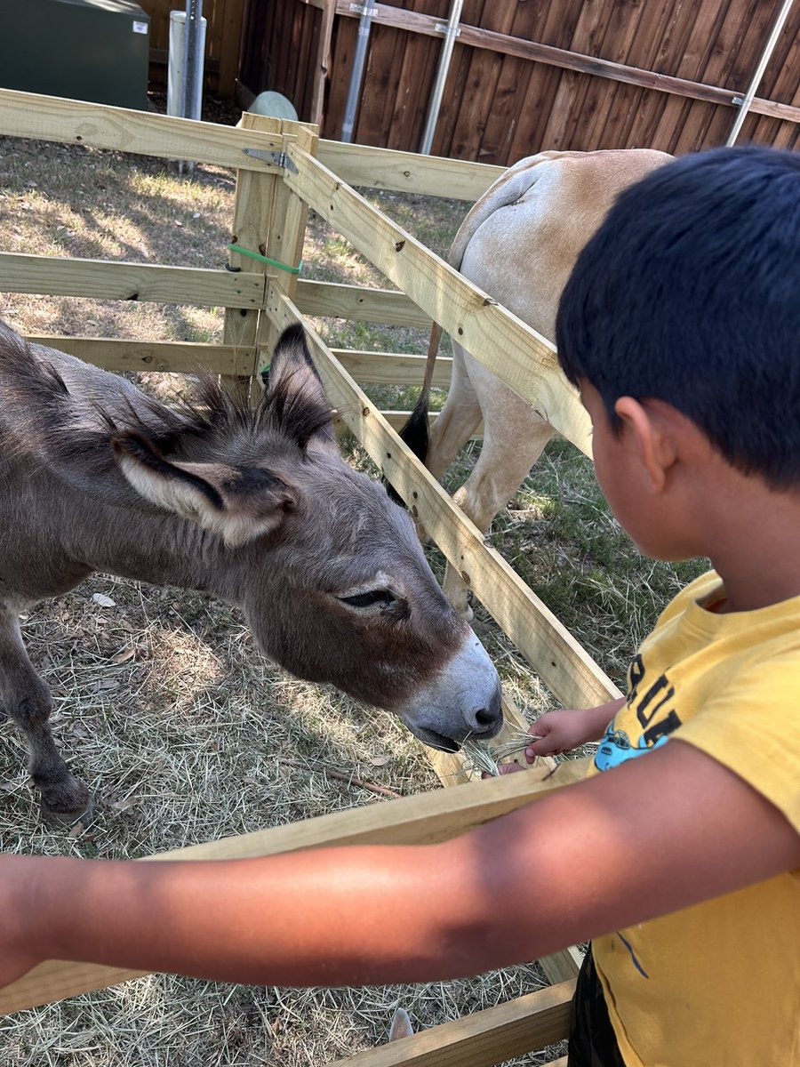 Shari Gulam tweet media