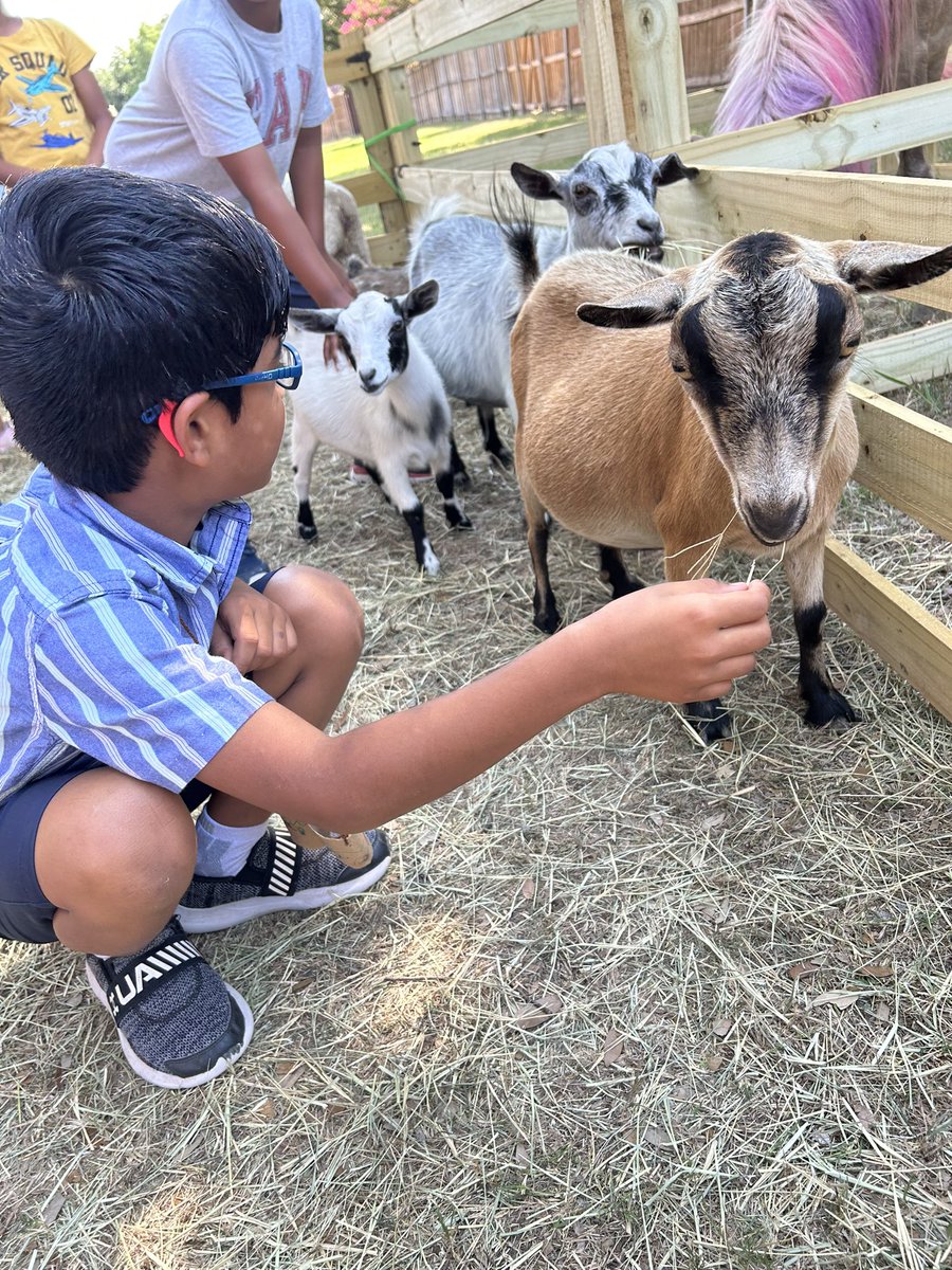 Shari Gulam tweet media