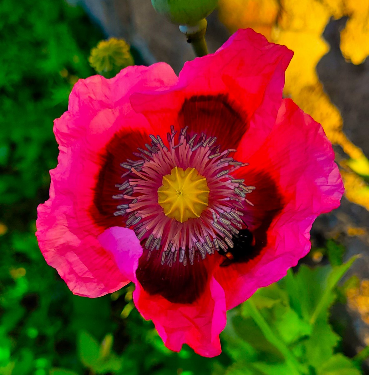 The Forge Corwen tweet media