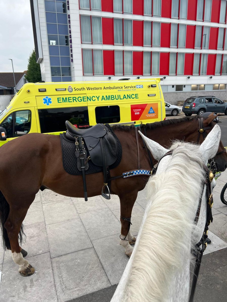 Extra carrots are on the dinner menu this evening for Platinum and Redcliffe 🥕🥕 they have helped a member of public in need of medical attention, which they are now receiving 🐴🦄 #goodboys #helpingthoseinneed