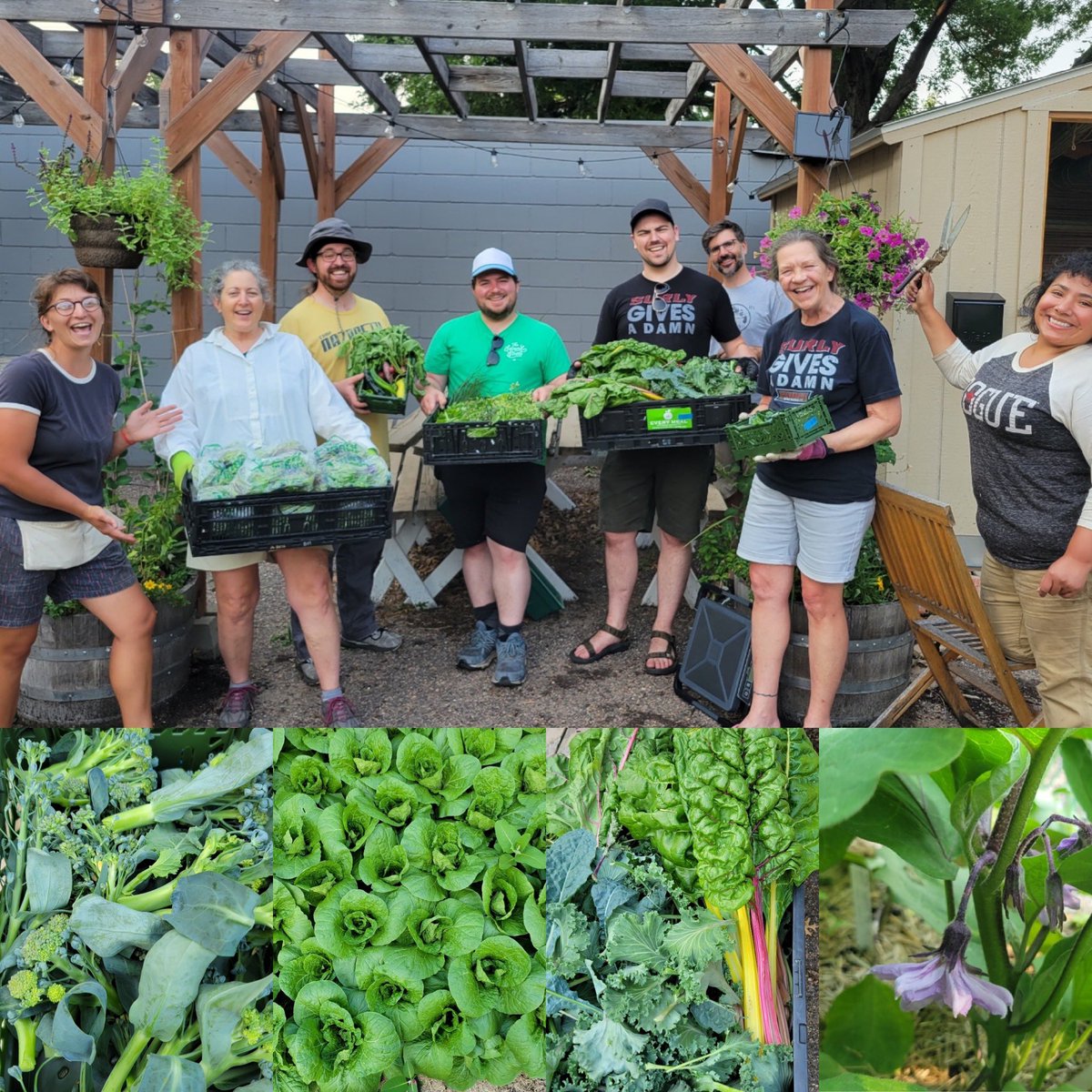 1st harvest of 2023, 20.8#s donated to <a href="/EveryMealOrg/">Every Meal</a>! And there was more kale, beets, squash &amp; swiss chard planted. Oh and weeding and additional tomato supports. Busy busy at the garden. Great work garden team!@surlybrewing <a href="/EveryMealOrg/">Every Meal</a> <a href="/SurlyGivesADamn/">Surly Gives A Damn</a>