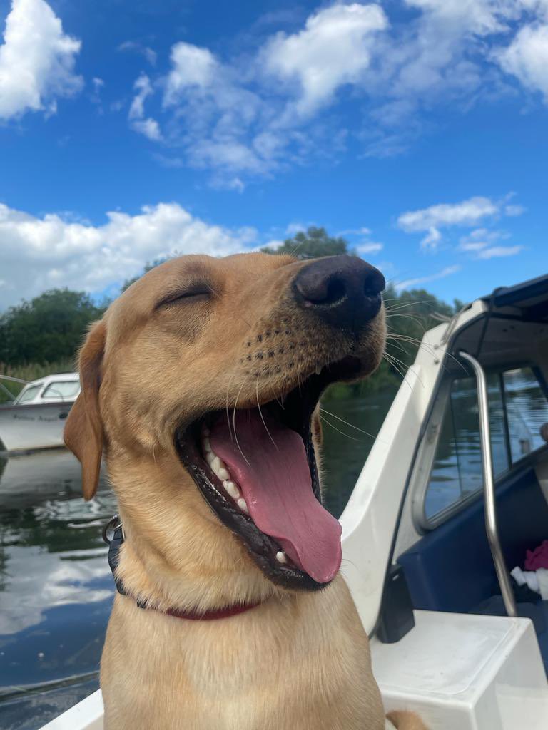 Dogmother says I have to say sorry to the village pub. I went with one of my aunties & I  jumped on the bar so everyone could see how much I needed biscuits & now she says she has to move to another village. Anyway here's my sea lion impression because I am a very funny boy.