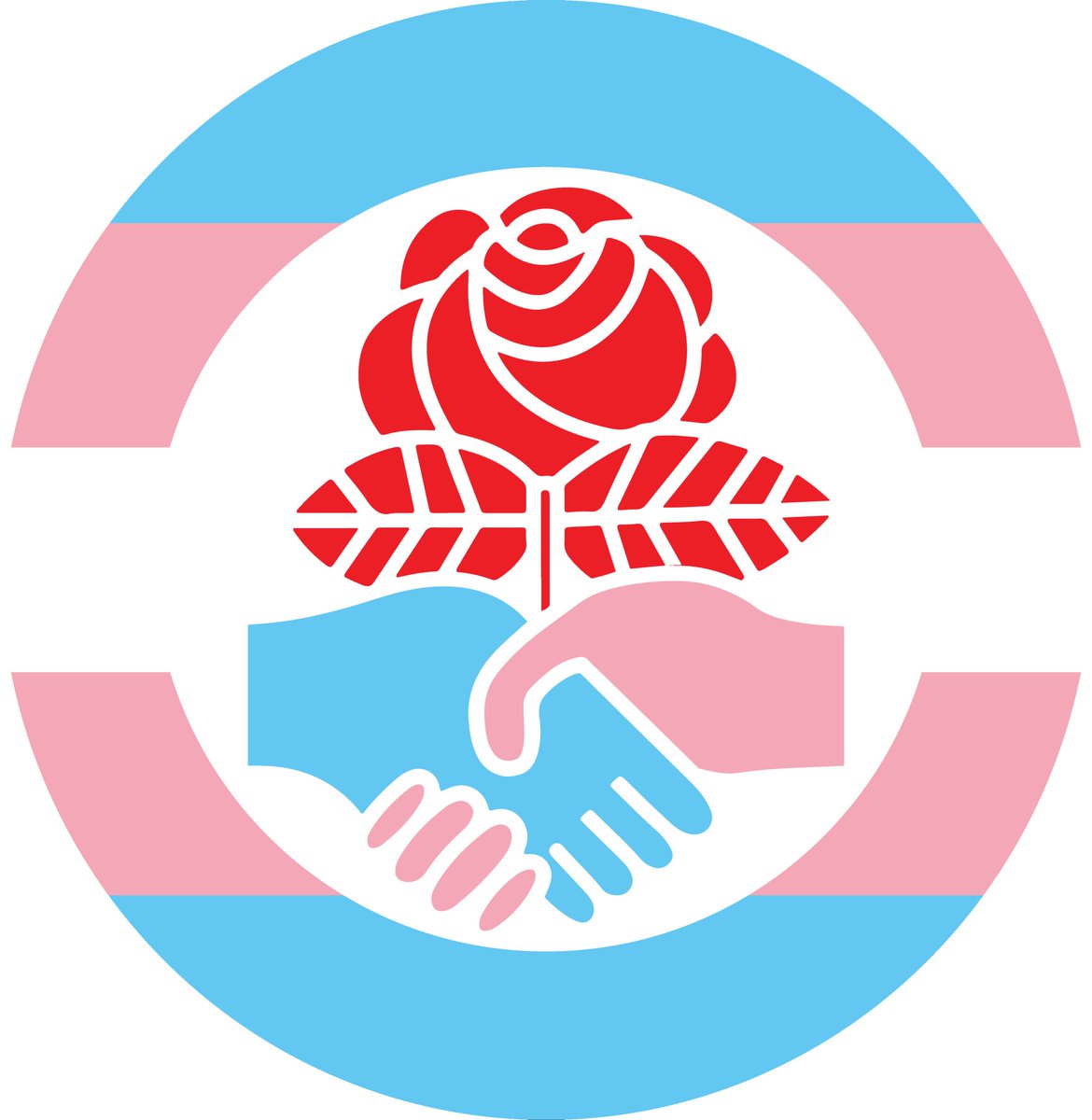 Topeka DSA🌹🌻 tweet media