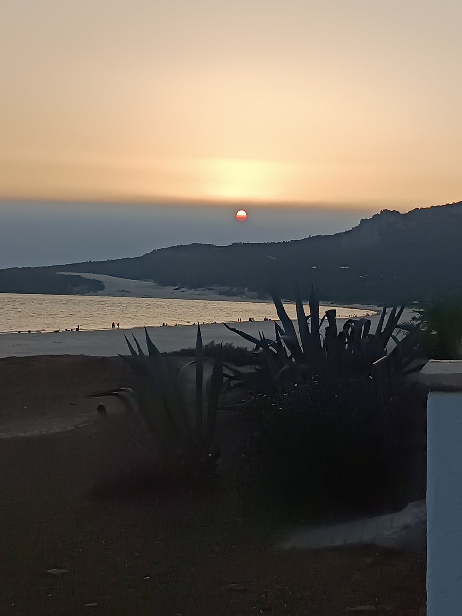 tatofidalgo's tweet photo. La nube de humo de Canadá.. entrando en la playa de Bolonia @Storm_Malaga https://t.co/gnd0tpQa6N