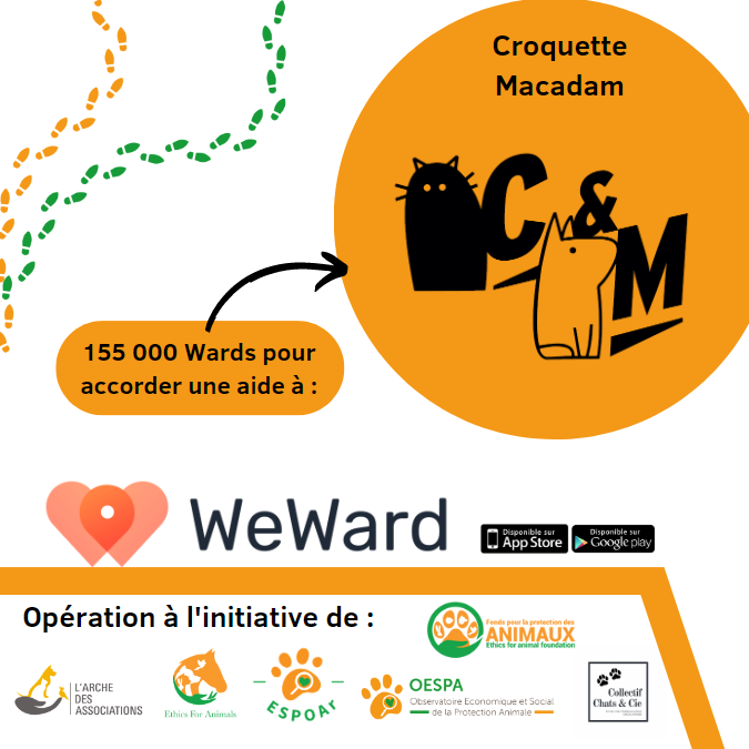 Espoar1's tweet photo. Avec @WeWardAppFR, on se mobilise pour Croquette et Macadam. On marche pour la bonne cause et pour financer les frais vétérinaires de cette association. C'est  simple et gratuit !
@EthicsAnimals @collectifchats #animaux #chien #chat https://t.co/nwksxGRMEk